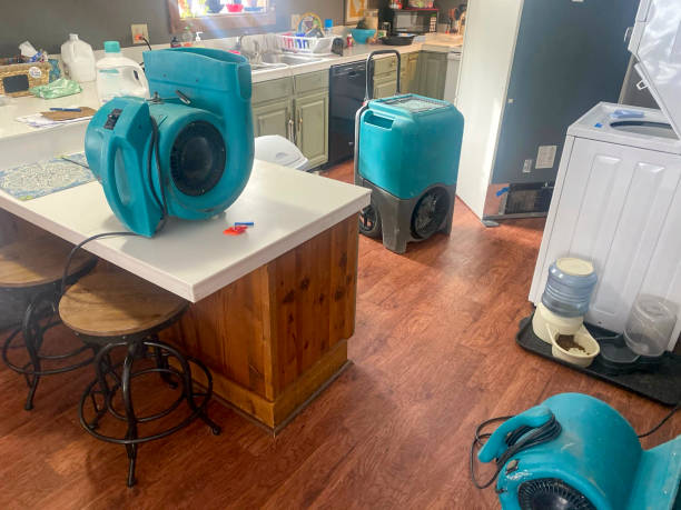 Best Water damage restoration near me  in Jordan, NY