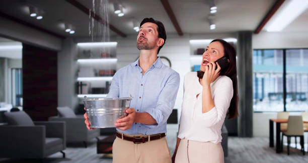 Best Ceiling water damage repair  in Jordan, NY