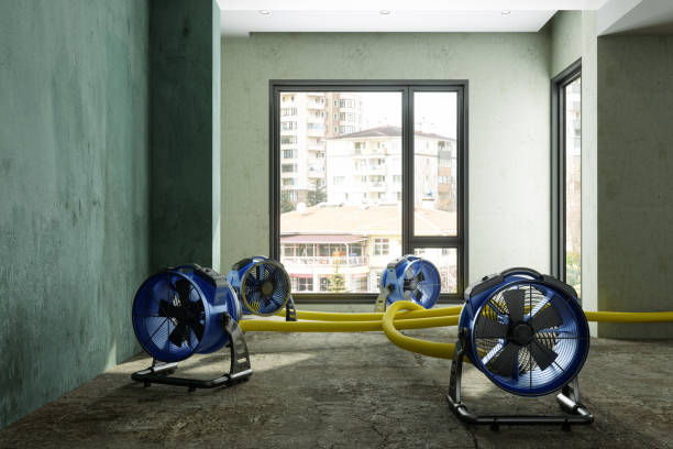 Best Fire Damage Restoration  in Jordan, NY